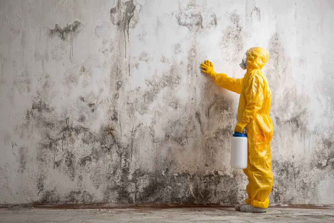 deltona mold remediation company